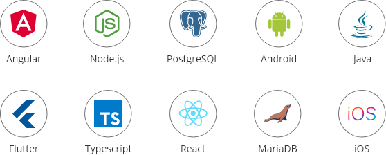 Hire Developers on Different Technologies